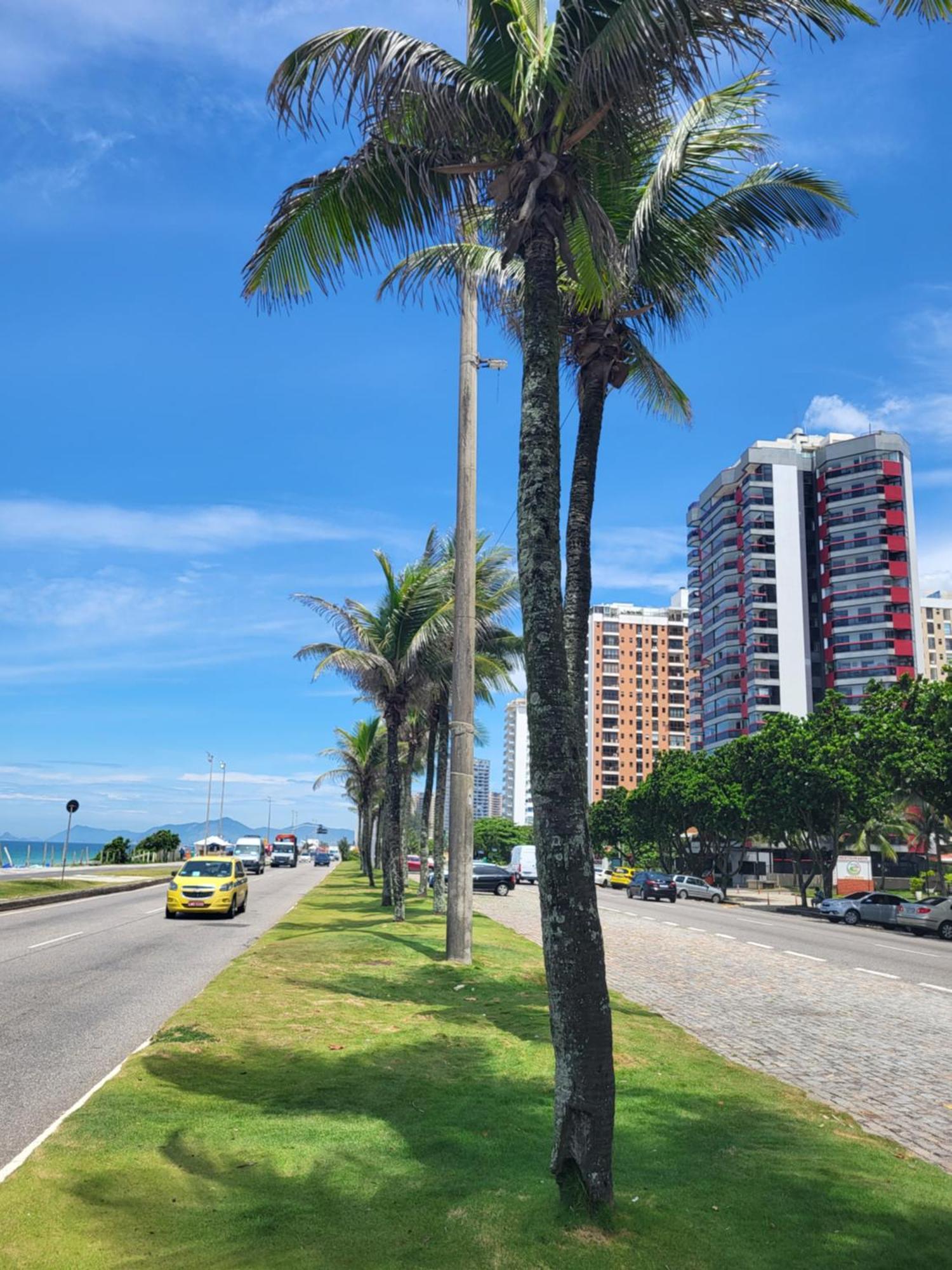 Excelente Apartamento *